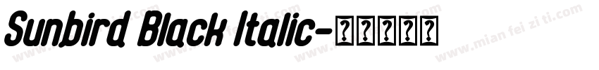 Sunbird Black Italic字体转换